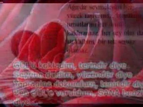 umut akyürek-gülü susuz seni aşksız bırakmam