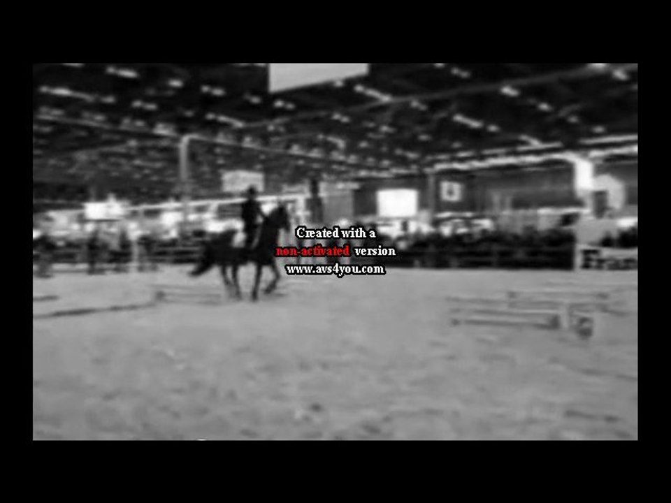 Ecurie des chenes :)