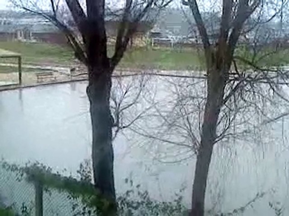 MOV00418