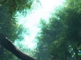 CRYSIS, Very High, Jungle Map, Mononoke Hime Theme, HD