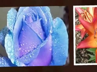 Sübhaneke ya Allah Tesbihat