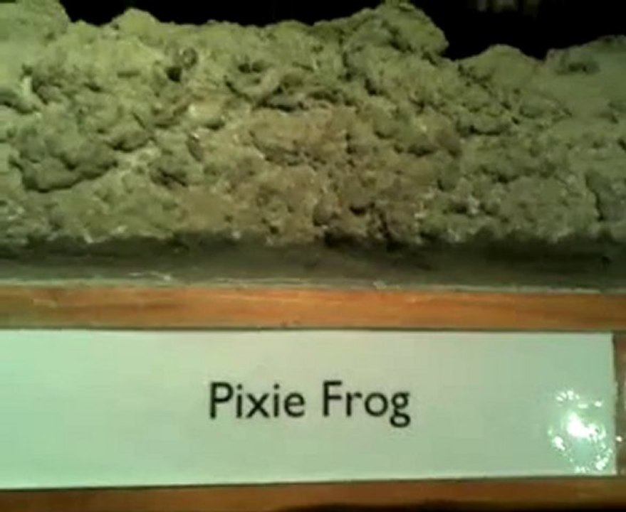 From the Discovery Museum