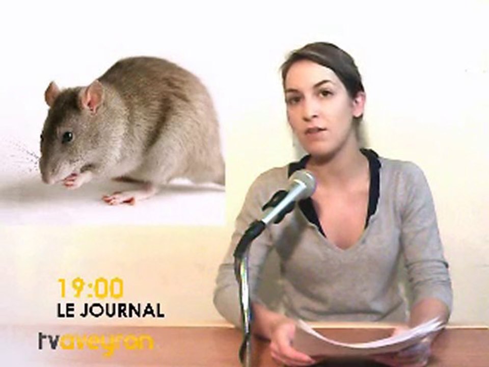 TV Aveyron: journal du 07/01/2011 - Présenté par Jessy