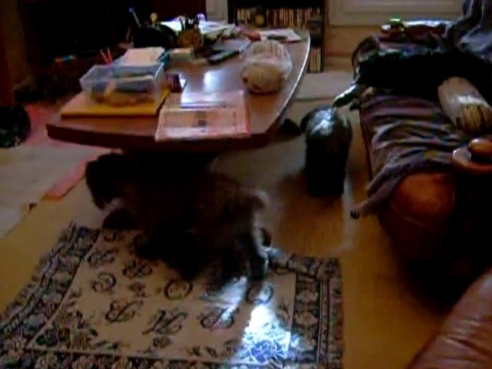 Vidéo 26 12 2010