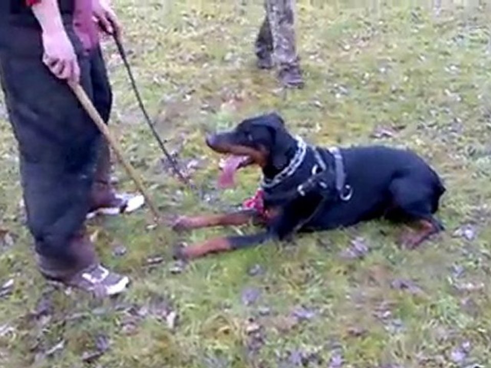 Arès 8 mois, Première découverte de cache