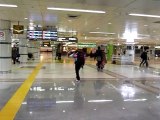 Gare de l'aéroport Narita, Tokyo