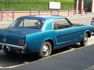 The World of Carzs !