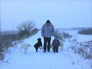 The Four HorseMen Kennel on a winter walk