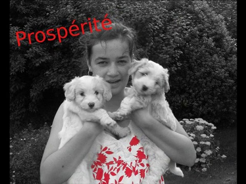 bonne année 2011
