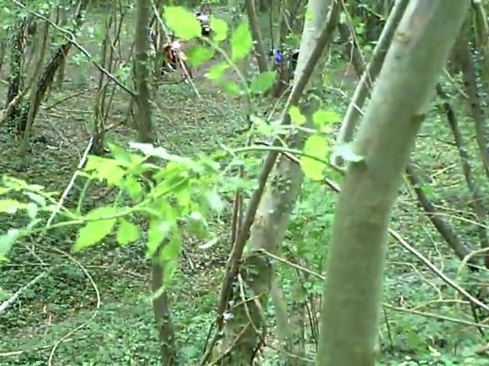 CLIP0031