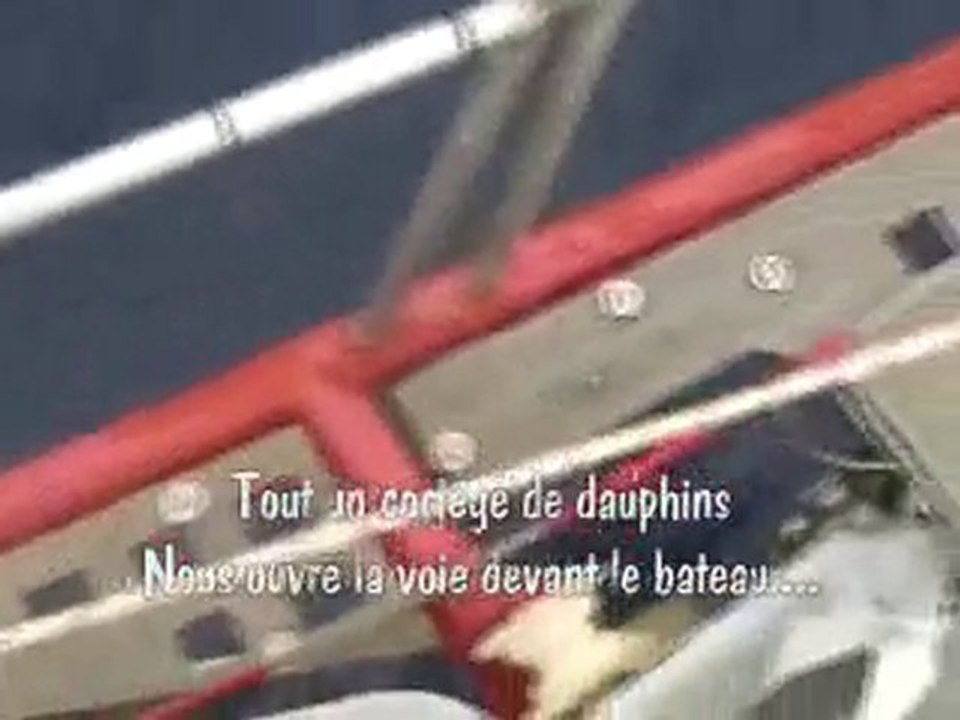 Navigation avec les Dauphins