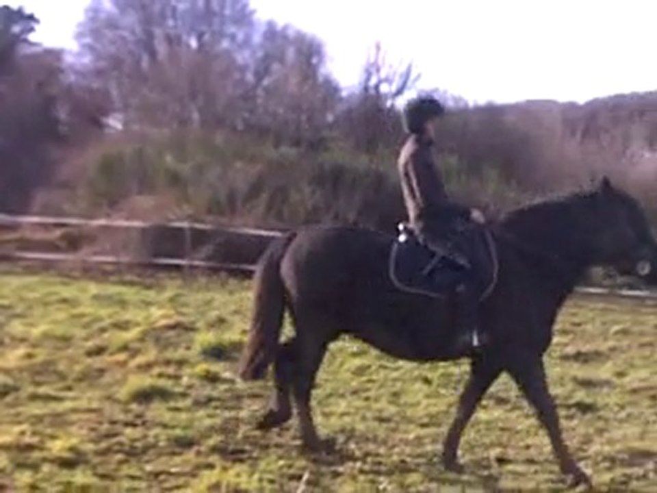 coco au boulot 09/01/2011