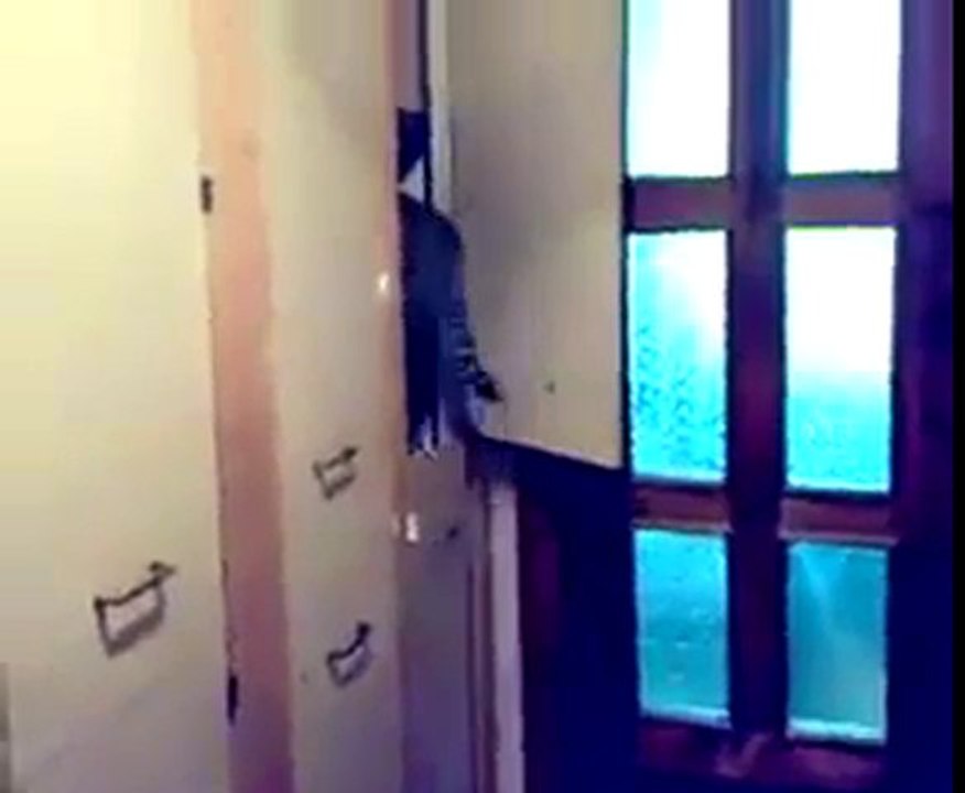 На место !
