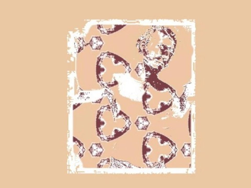 Il est beau le chanteur