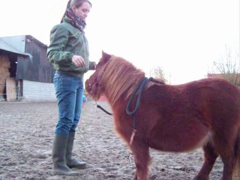 Courte vidéo de la séance du 9 janvier 2011