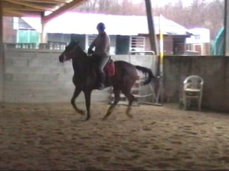 Ramino Cobra 9 janvier