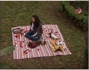 Susana Gonzalez PVA8