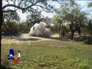Blow up Tree with Tannerite