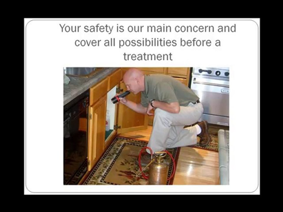 http://pestcontrol.inbendigoarea.com/