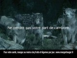 Hummm Charal (publicité), les loups (version longue)