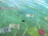 Veolia veut censuré un documentaire de Water Makes Money