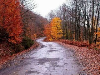 "Dê were" Hozan Mihemed