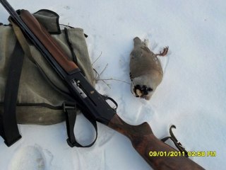 KEKLİK AVI 09-01-2011