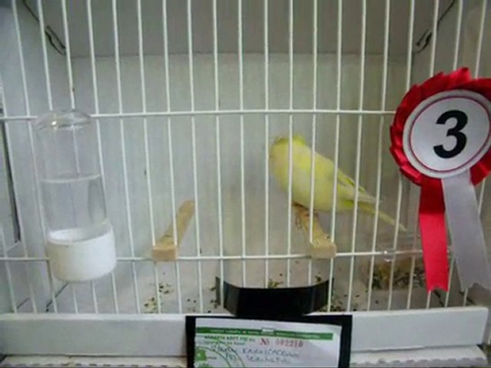 111-2010 | TÜRKİYE ŞAMPİYONASI