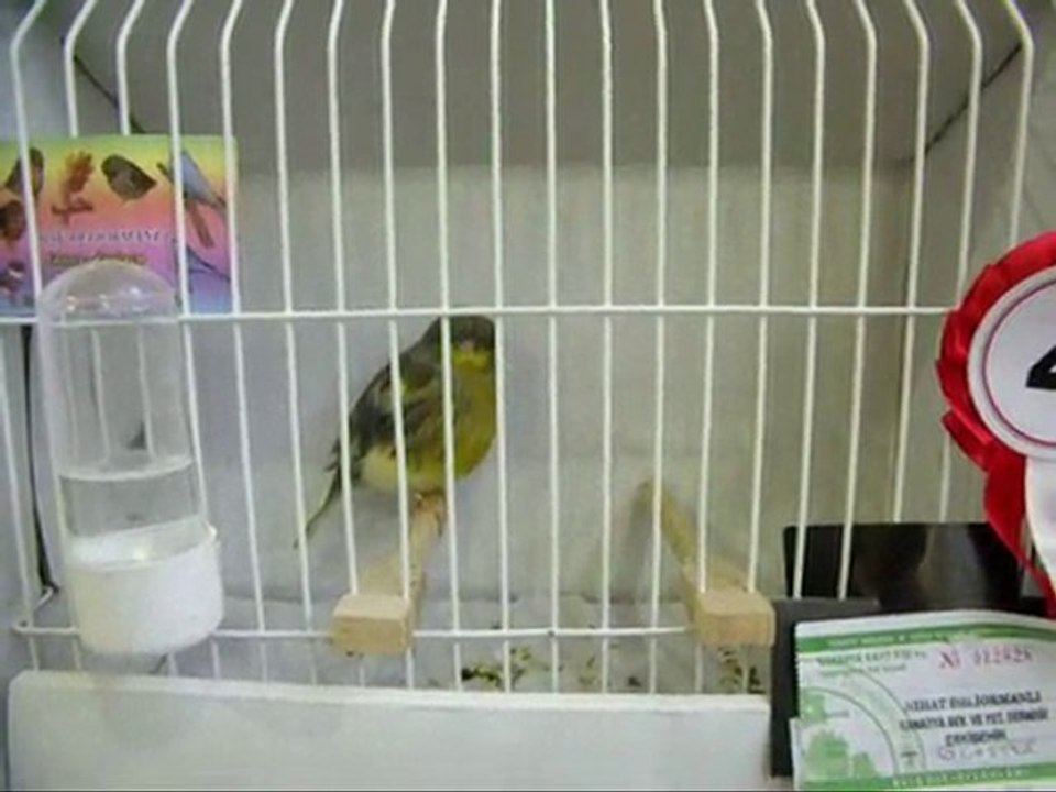 03-AHRAÇ TEPELİLER | 2010 TÜRKİYE ŞAMPİYONASI