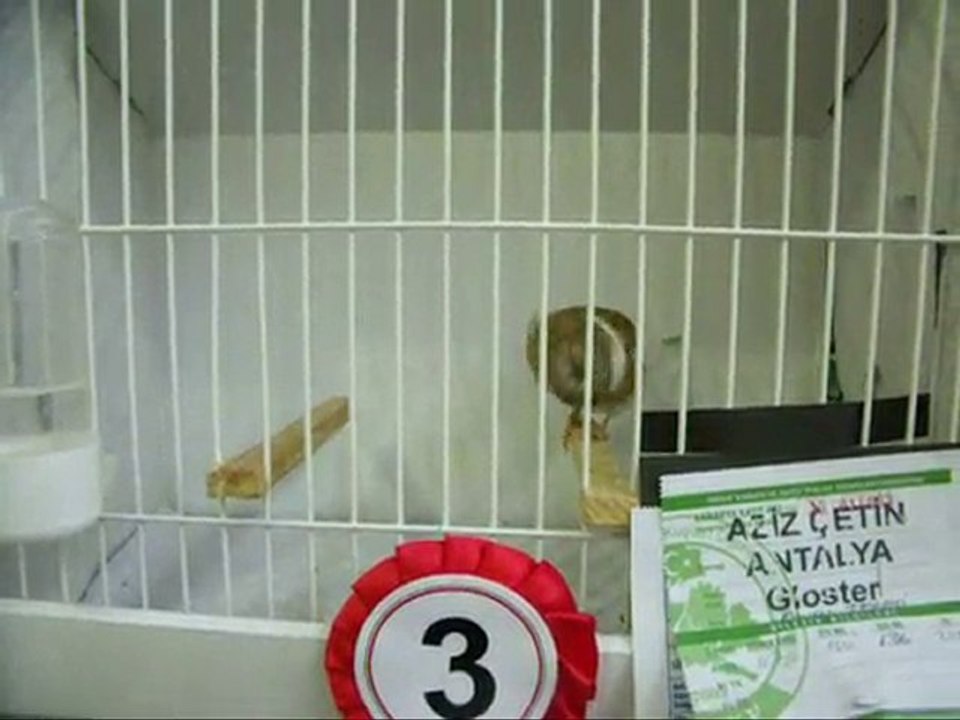 05-LİPOGROM AHRAÇ TEPELİLER | 2010 TÜRKİYE ŞAMPİYONASI