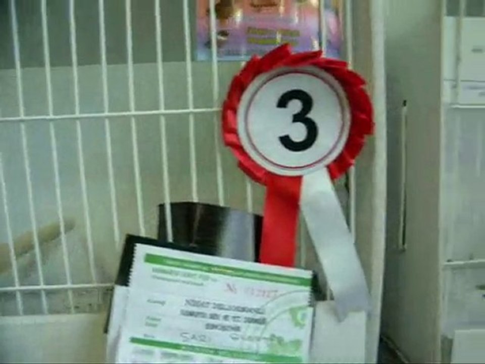 08-LİPOGROM KABAKLAR | 2010 TÜRKİYE ŞAMPİYONASI