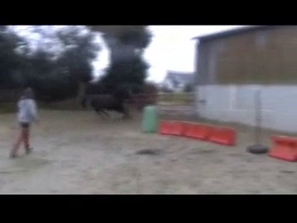 Ecuries du Nevez Quatarina vidéo