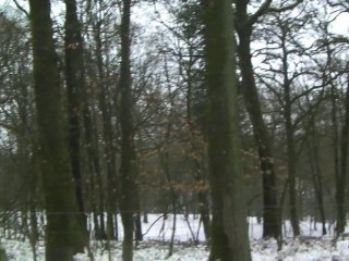 Le parc animalier de Charleville fermé sous la neige