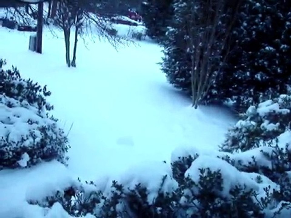 MOV07857