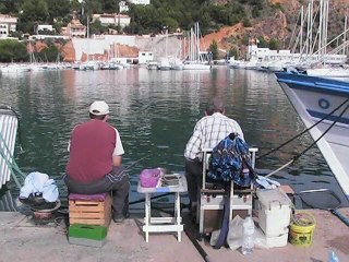 EXCITING FISHING ACTION AT THE JAVEA PORT * November Spain *