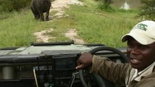 safari.tv diary - 09 January 2011