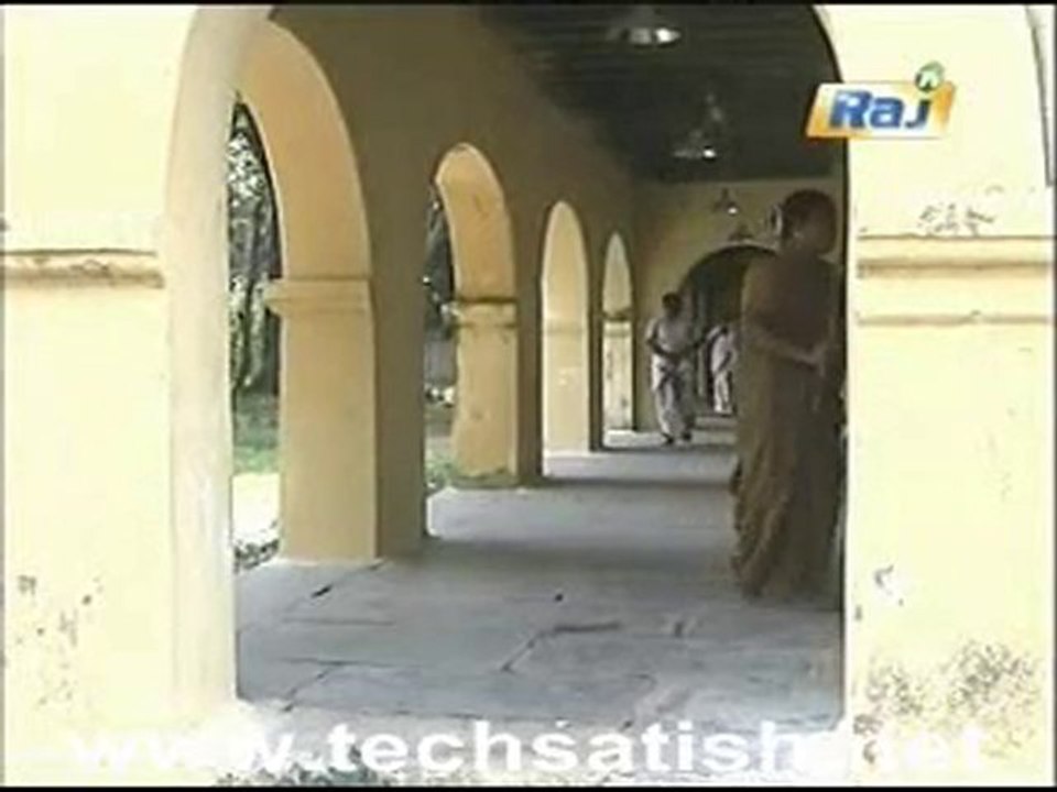 kodimullai