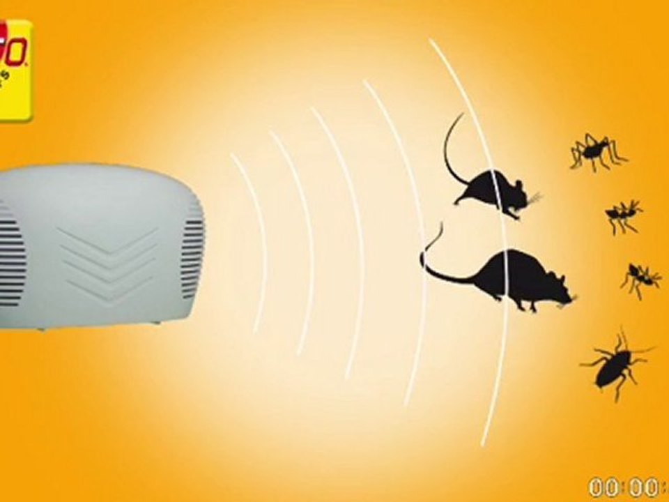 télé souris