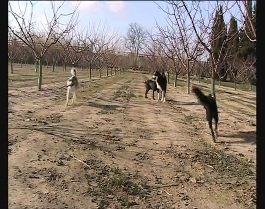 Ballade quotidienne, Fly Dina Elektra et Enjoy