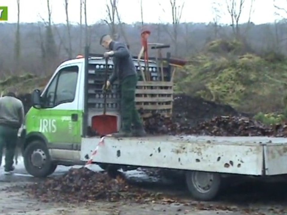 L'avenir - Que deviennent les sapins de Noël