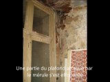 attaque d'une maison par le mérule(spécialiste nord-humidité