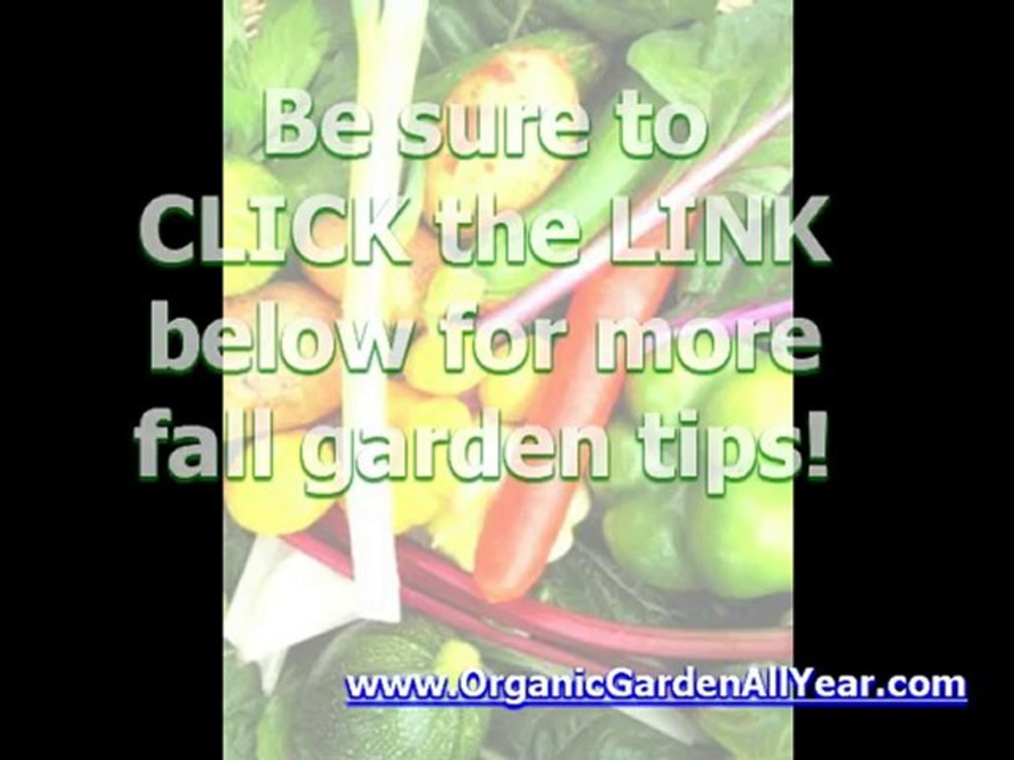 Fall Garden - Organic Garden All Year