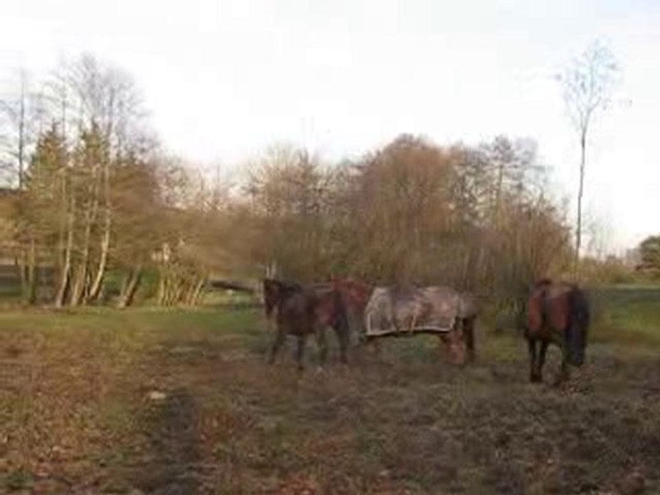 Photo_2026