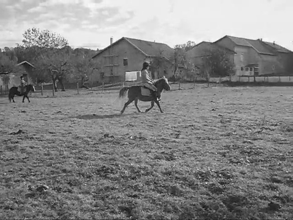 Chevaux ♥