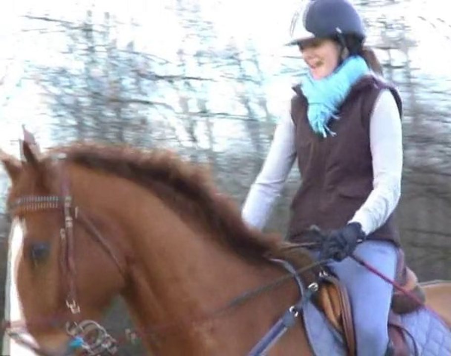 Janvier dressage + Saut