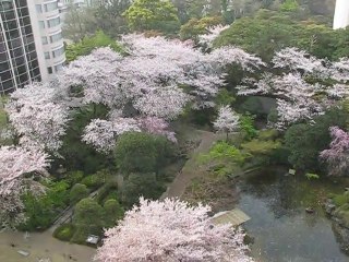 Vu de la chambre du Grand Prince Takawana Tokyo 04/2009