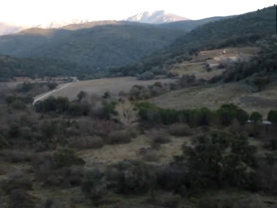 Basset Bleu Gascogne 08-01-2011 (II)