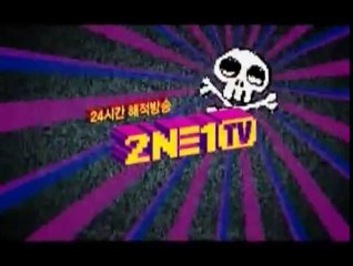 090704 2NE1TV 24hr Pirate Clips