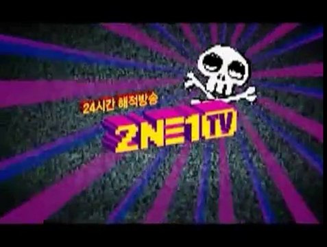 090705 2NE1TV 24hr Pirate Clips