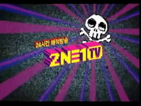 090720 2NE1TV 24hr Pirate Clips